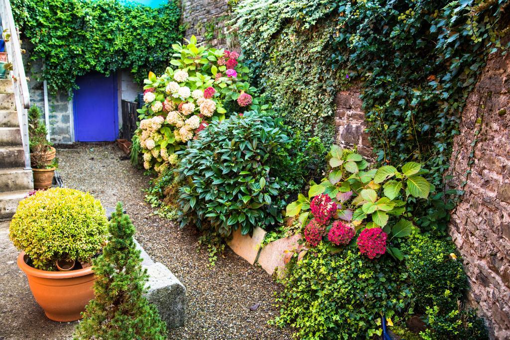 Byrnes Wine Dine Stay Ennistimon Extérieur photo